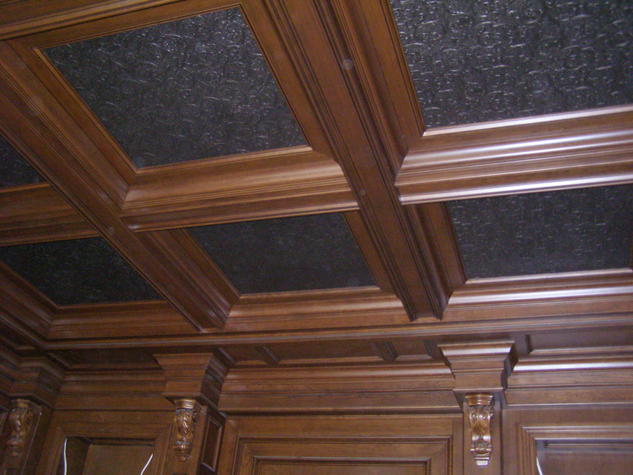 Ceiling and Wall Panels with Hidden Door